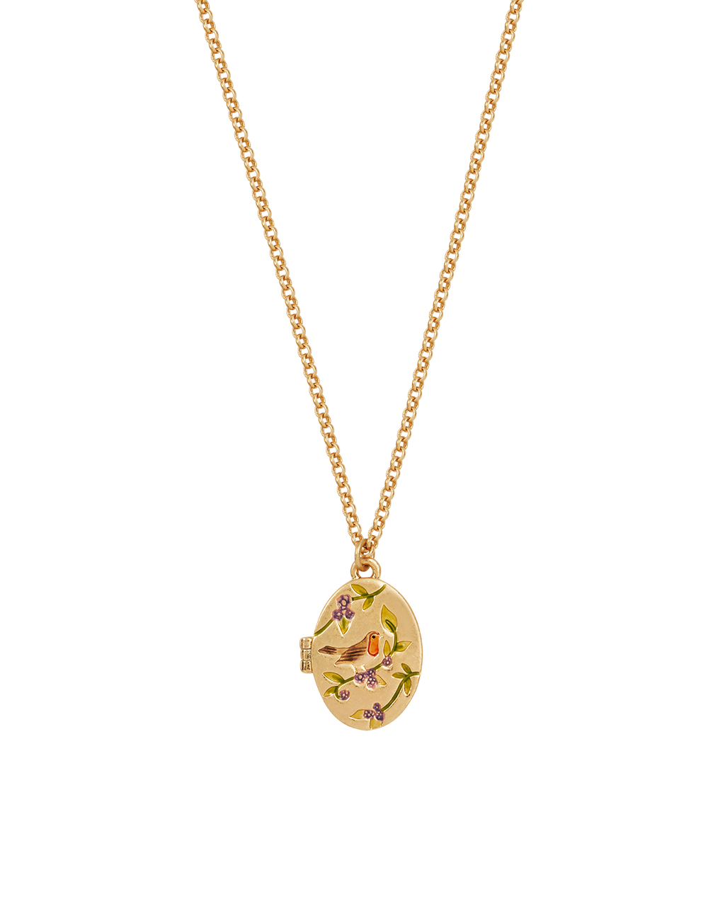 Gold Robin & Blackberry Locket Necklace
