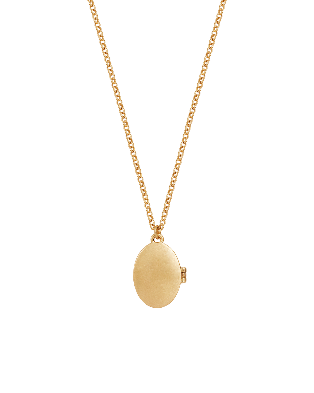 Gold Robin & Blackberry Locket Necklace