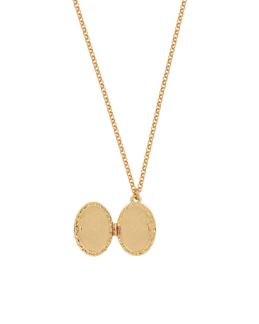 Gold Robin & Blackberry Locket Necklace