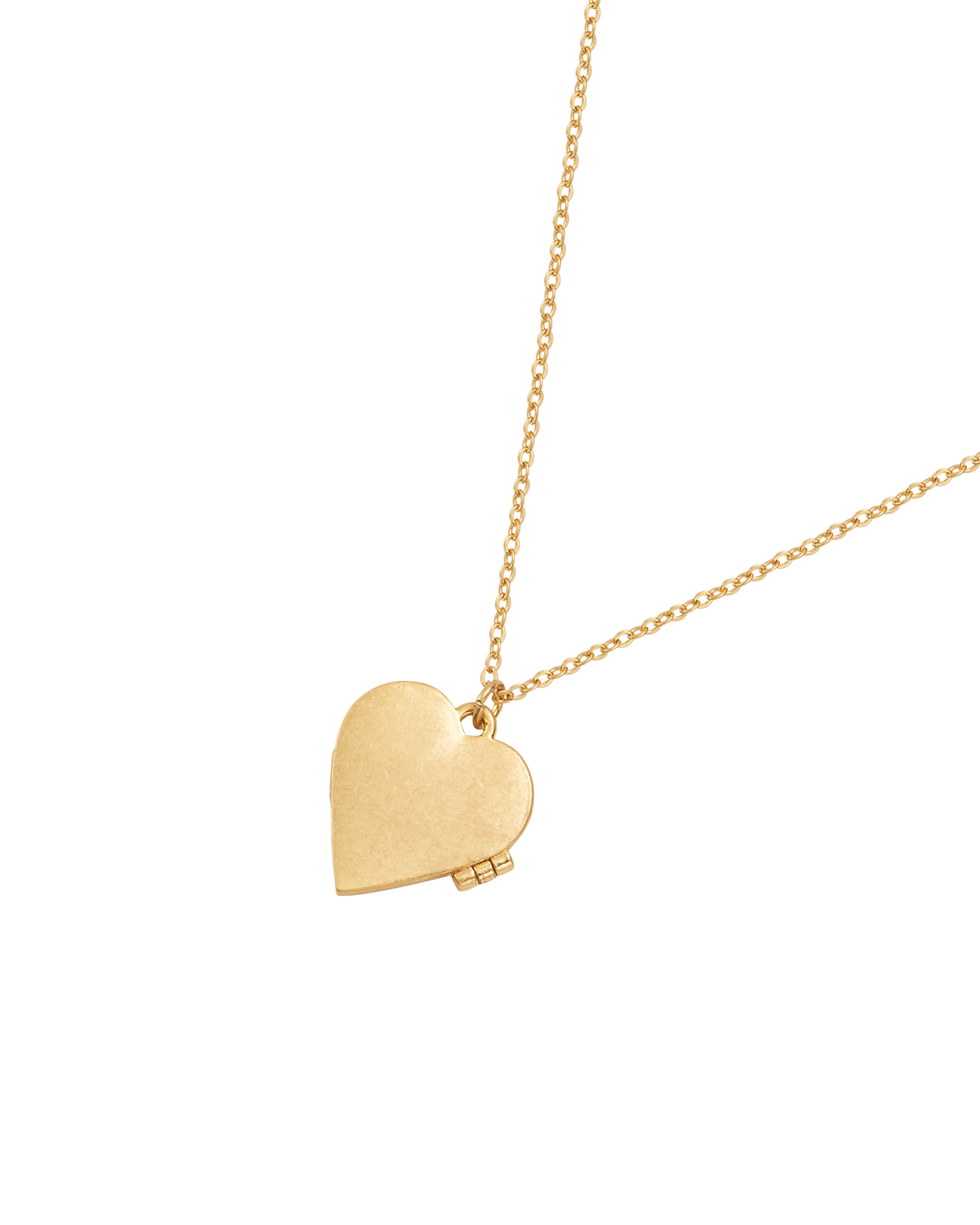 Swallow Heart Locket Chain Necklace